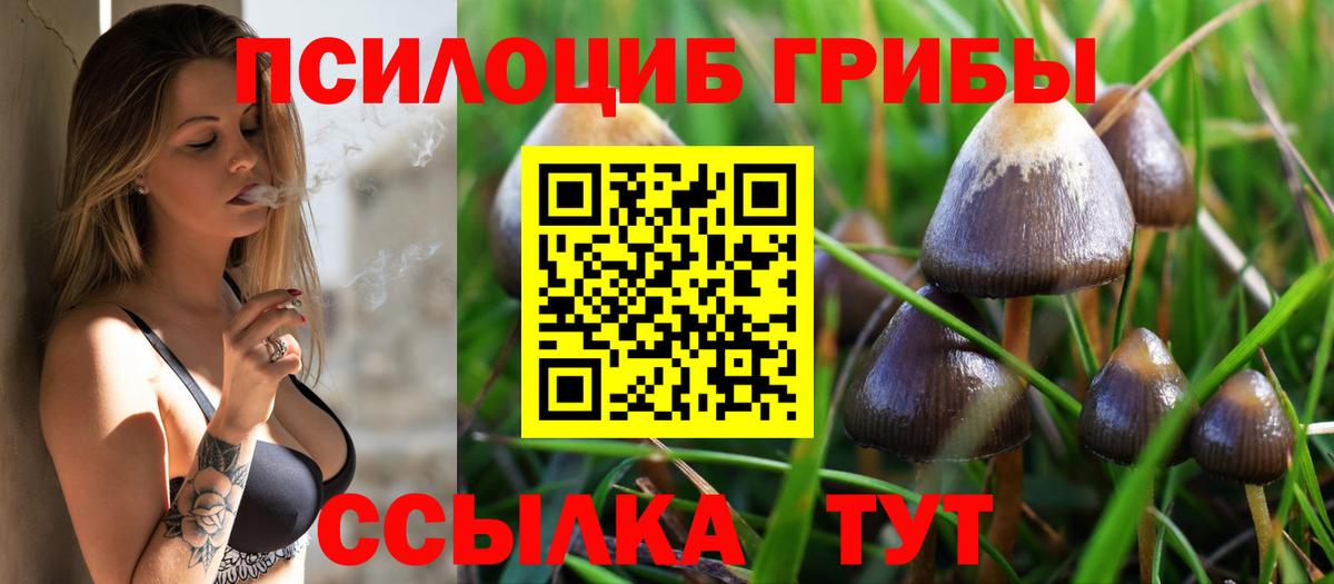 Галлюциногенные грибы мухоморы  Вход с VPN  Нефтеюганск  Псилоцибиновые грибы мицелий 